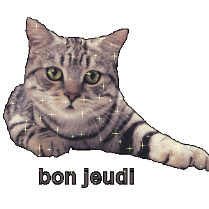 Gif animé Bon jeudi chat